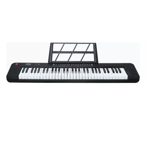 Teclado Waldman P/ Iniciante Classtone Wts-100 Bk Preto 110v/220v