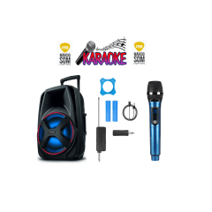 Kit 11 Caixa 250w + 1 microfone sem fio