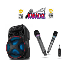 Kit 9 Karaoke Caixa 100w + 2 Microfones