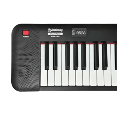 Teclado Waldman P/ Iniciante Classtone Wts-100 Bk Preto 110v/220v