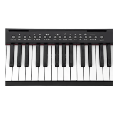 Teclado Waldman P/ Iniciante Classtone Wts-100 Bk Preto 110v/220v