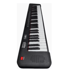 Teclado Waldman P/ Iniciante Classtone Wts-100 Bk Preto 110v/220v