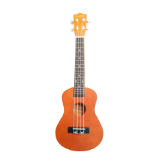 Ukulele Blackwood xu23 concert 