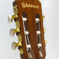 Violao Waldman clcex1010 n