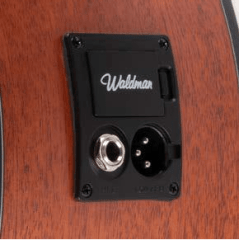 Violao Waldman clcex1010 n