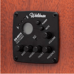 Violao Waldman clcex1010 n