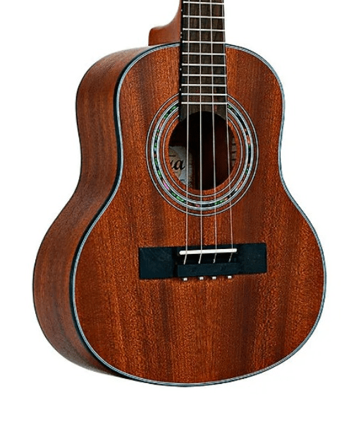 CAVAQUINHO TERRA AC MAHOGANY FOSCO TCV01MH - Loja Marcio Som